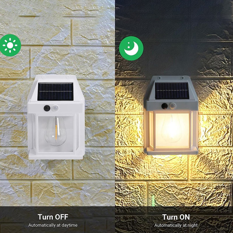 Solar Lights for Garden