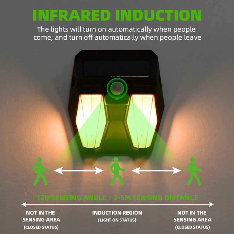 Solar Yard Lights